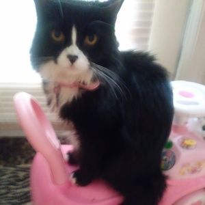 Meet your Posher, Marissa